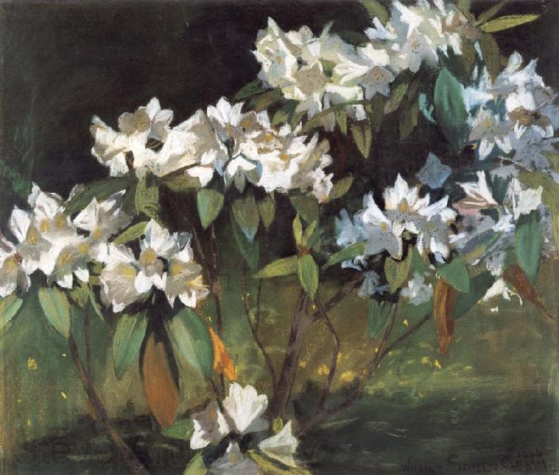 William Stott of Oldham White Rhododendrons Germany oil painting art